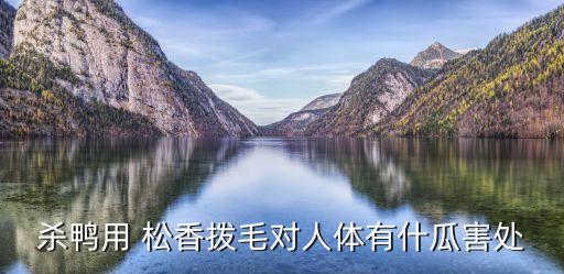 殺鴨用 松香撥毛對人體有什瓜害處