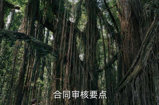  合同審核要點(diǎn)