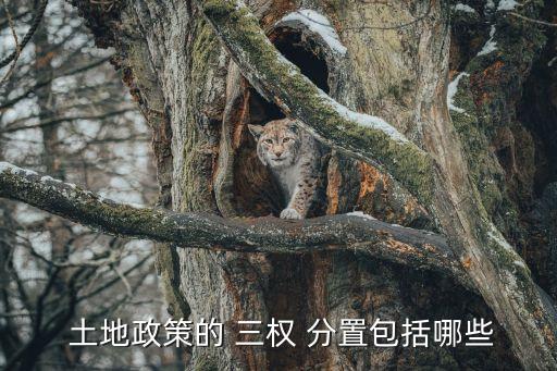  土地政策的 三權(quán) 分置包括哪些