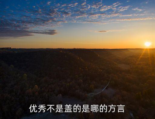 不是蓋的什么意思,這遺傳基因不是蓋的什么意思