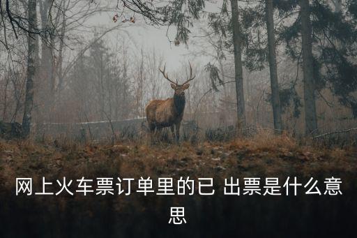 網(wǎng)上火車票訂單里的已 出票是什么意思