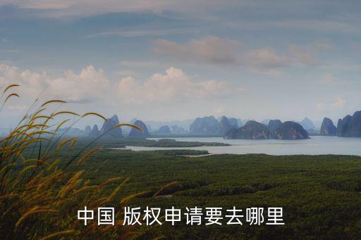 中國 版權(quán)申請要去哪里