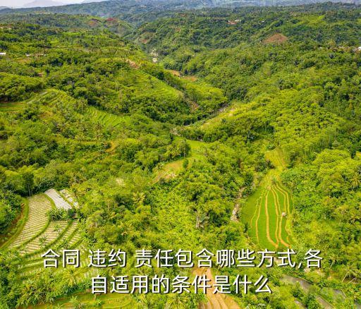  合同 違約 責任包含哪些方式,各自適用的條件是什么