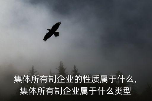 集體所有制