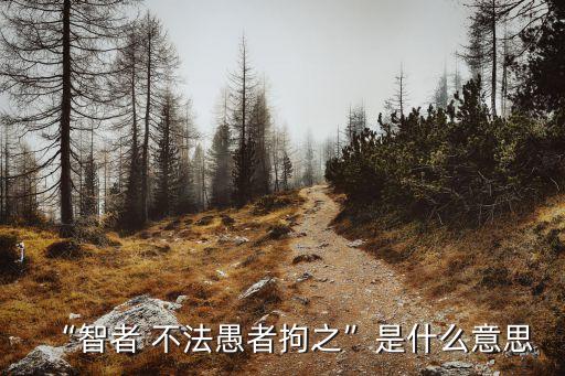 “智者 不法愚者拘之”是什么意思