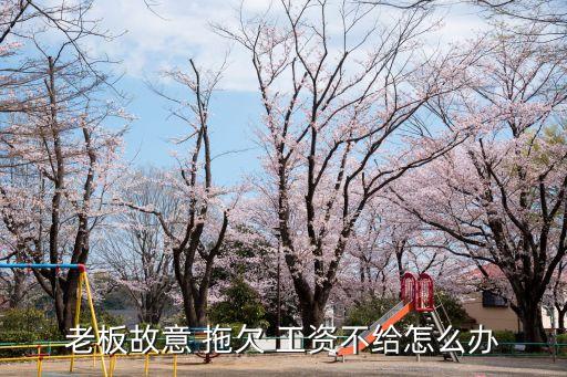 老板故意 拖欠 工資不給怎么辦