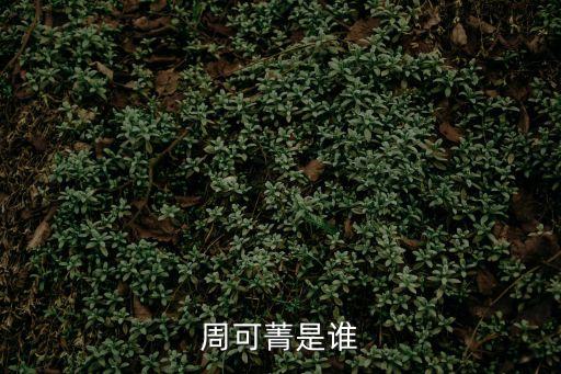 周二珂年齡,周二坷年齡