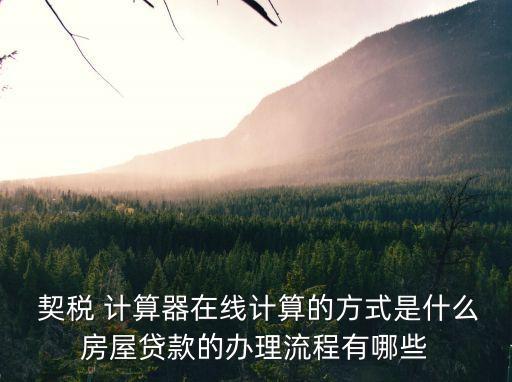 房產(chǎn)契稅計算器,自動算稅軟件