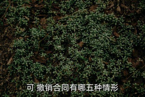 合同法撤銷的法定條件,撤銷法定不批準(zhǔn)出境人員條件