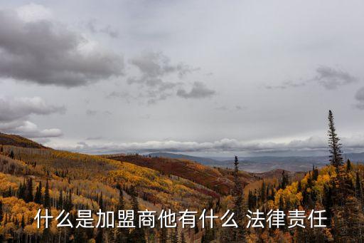 什么是加盟商他有什么 法律責(zé)任
