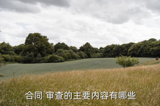  合同 審查的主要內(nèi)容有哪些