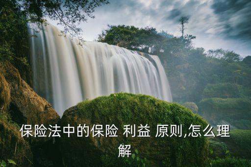 保險利益原則