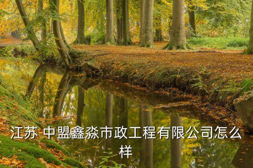 中盟