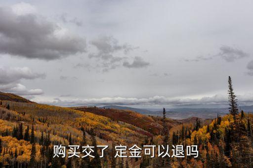 合同法關(guān)于定金退還,論合同法有關(guān)定金的法律規(guī)定