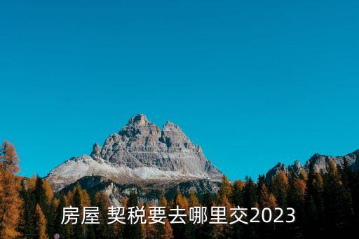 契稅去哪里交,連云港新房子交契稅去哪里交