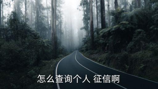 怎么查詢個人 征信啊