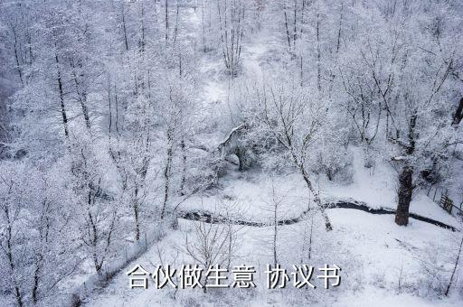 合伙開店合作協(xié)議,店鋪合伙合作經(jīng)營協(xié)議書
