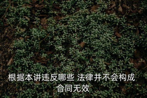 根據(jù)本講違反哪些 法律并不會(huì)構(gòu)成 合同無效