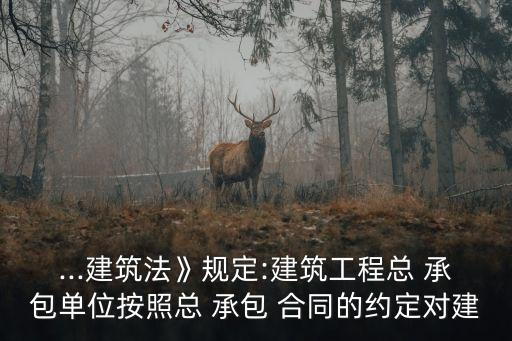 ...建筑法》規(guī)定:建筑工程總 承包單位按照總 承包 合同的約定對建