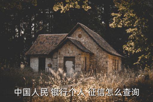 中國人民 銀行個人 征信怎么查詢