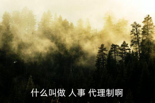 什么叫做 人事 代理制啊