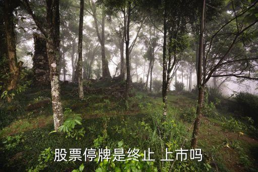 股票停牌是終止 上市嗎