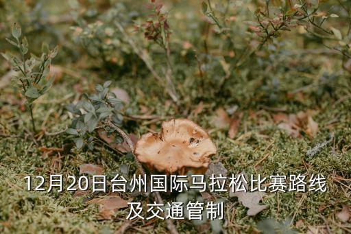 體育場路
