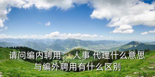 請問編內(nèi)聘用、 人事 代理什么意思與編外聘用有什么區(qū)別