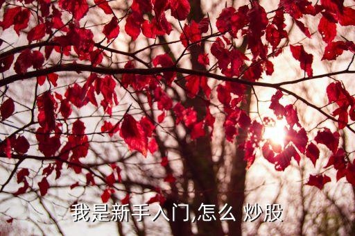 我是新手入門,怎么 炒股