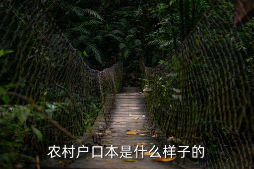 農(nóng)村戶口本是什么樣子的