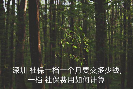  深圳 社保一檔一個(gè)月要交多少錢,一檔 社保費(fèi)用如何計(jì)算