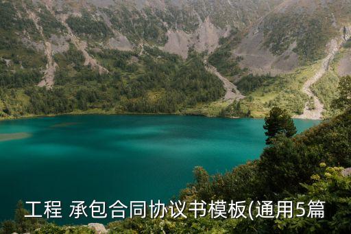 工程 承包合同協(xié)議書模板(通用5篇