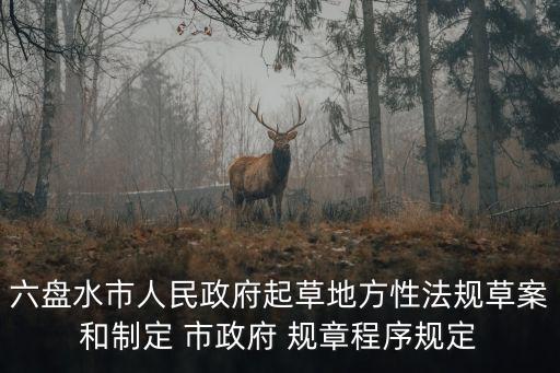 市政府令是規(guī)章,設(shè)區(qū)的市政府可以制定規(guī)章嗎