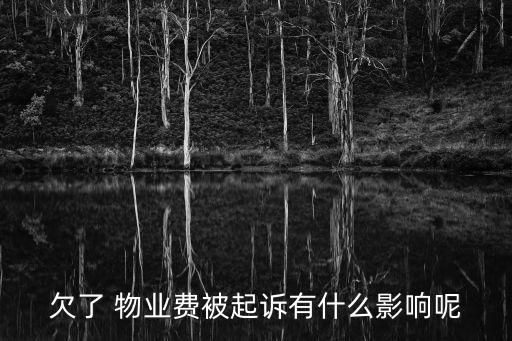 欠了 物業(yè)費(fèi)被起訴有什么影響呢