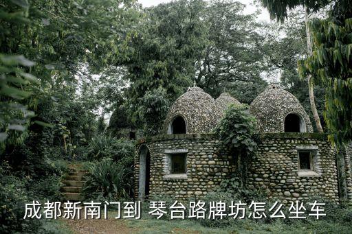 成都新南門到 琴臺(tái)路牌坊怎么坐車