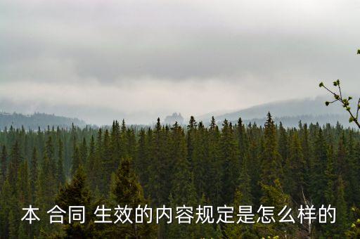 本 合同 生效的內(nèi)容規(guī)定是怎么樣的