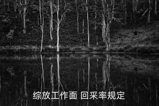 綜放工作面 回采率規(guī)定