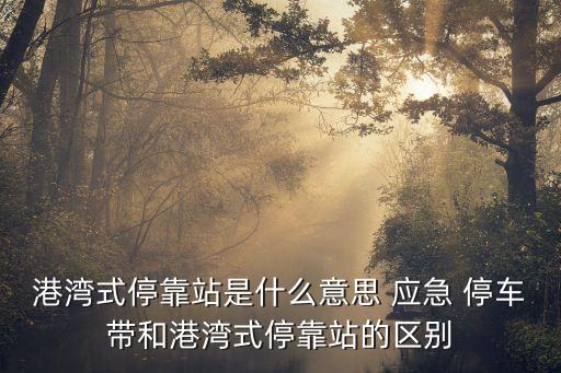 港灣式?？空臼鞘裁匆馑?應(yīng)急 停車帶和港灣式?？空镜膮^(qū)別