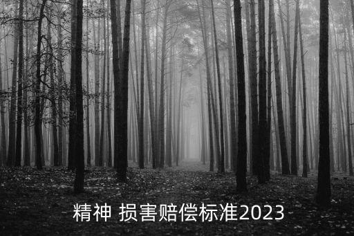  精神 損害賠償標(biāo)準(zhǔn)2023