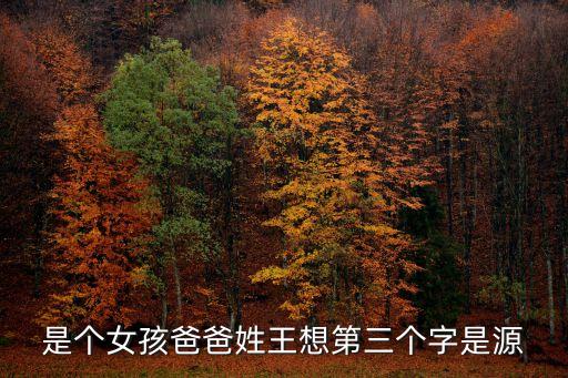是個(gè)女孩爸爸姓王想第三個(gè)字是源