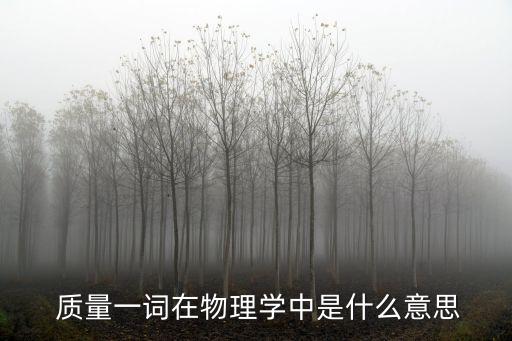  質(zhì)量一詞在物理學(xué)中是什么意思