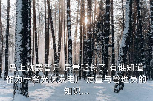 馬上就要晉升 質(zhì)量班長(zhǎng)了,有誰(shuí)知道作為一名光伏發(fā)電廠 質(zhì)量與管理員的知識(shí)...