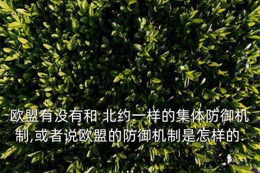 歐盟有沒有和 北約一樣的集體防御機制,或者說歐盟的防御機制是怎樣的...