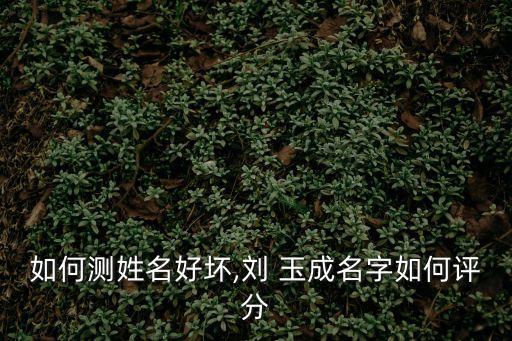 如何測姓名好壞,劉 玉成名字如何評分