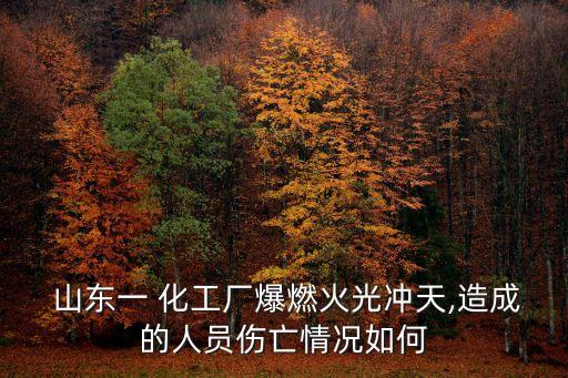  山東一 化工廠爆燃火光沖天,造成的人員傷亡情況如何