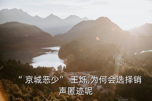 京城四少王爍