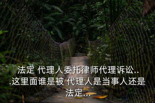 法定代理人