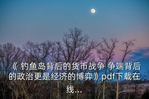 《 釣魚島背后的貨幣戰(zhàn)爭 爭端背后的政治更是經(jīng)濟(jì)的博弈》pdf下載在線...