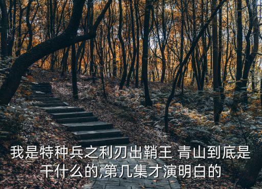 王青山