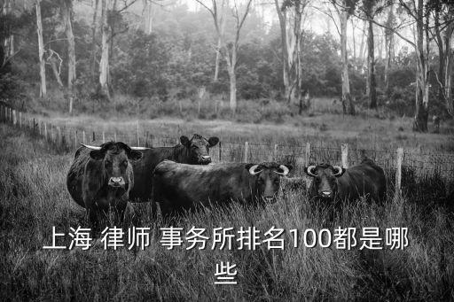 上海 律師 事務(wù)所排名100都是哪些